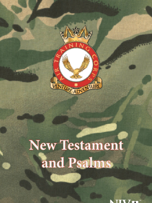 ATC (Camouflage) New Testament & Psalms Pocket Edition NIV