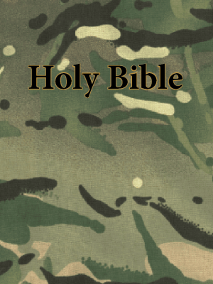 Hardback Bible NIV - Badgeless Edition